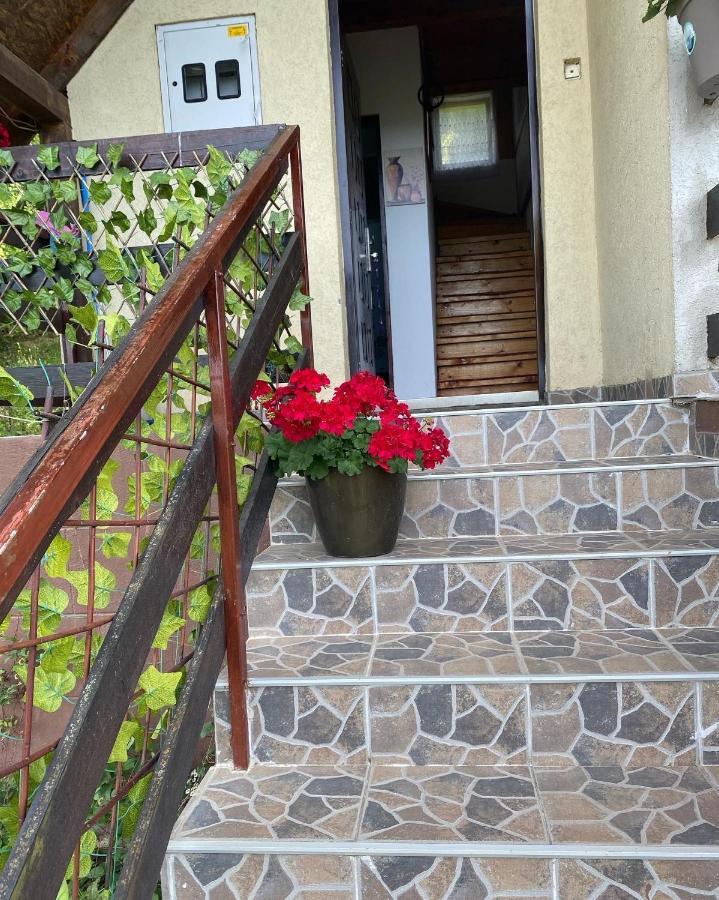 Vidikovac Bijelo Polje Hotel Екстериор снимка