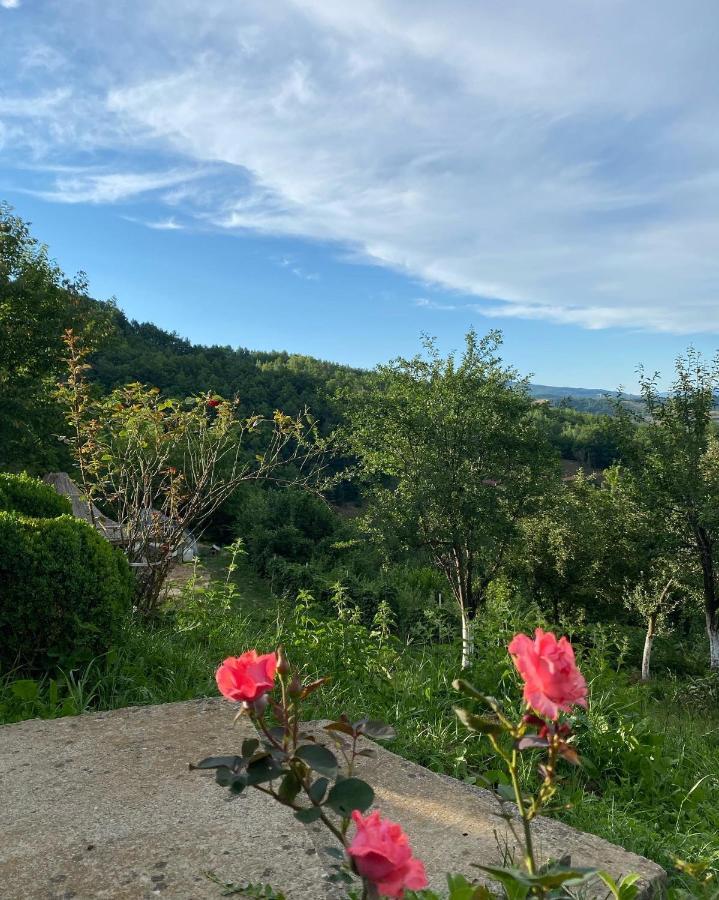 Vidikovac Bijelo Polje Hotel Екстериор снимка